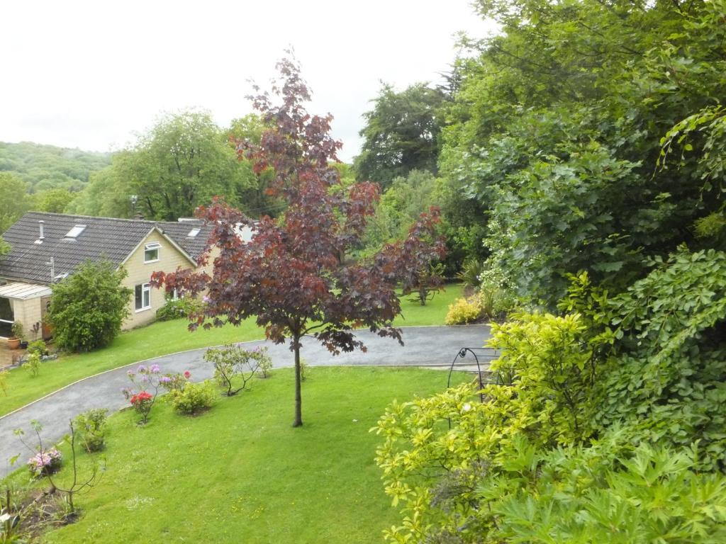 Shrubdown Bed and Breakfast Freshford Exteriör bild